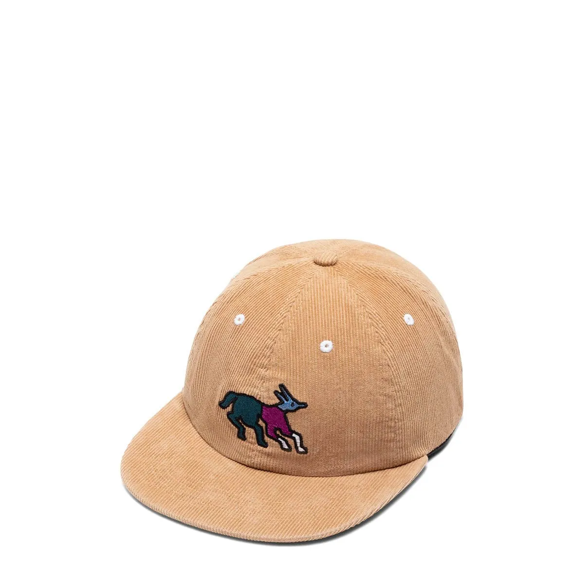 ANXIOUS DOG 6 PANEL HAT